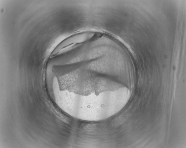 X0000087741367200706041026