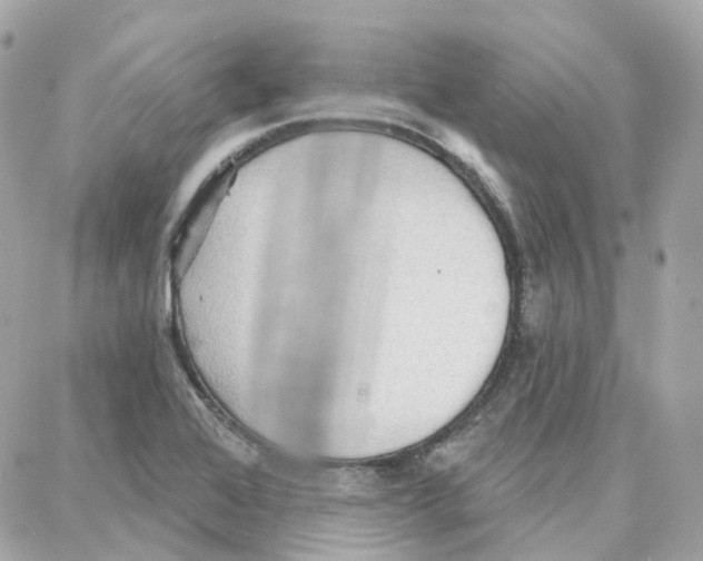 X0000087741368200706041026