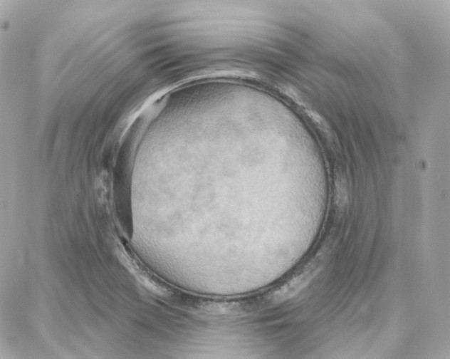 X0000087741369200706041026