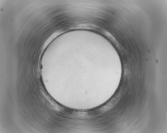 X0000087741370200706041026