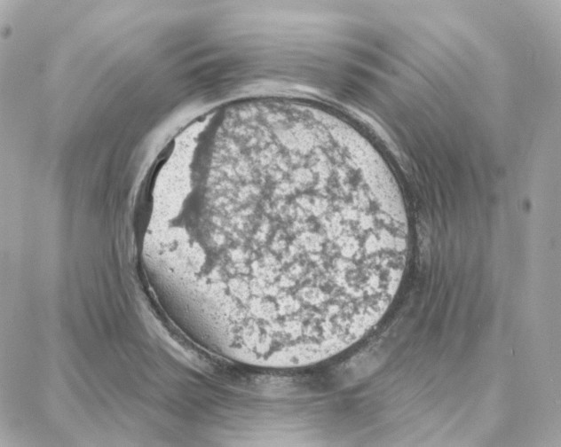 X0000087741371200706041026