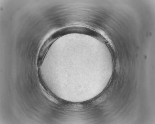 X0000087741372200706041026