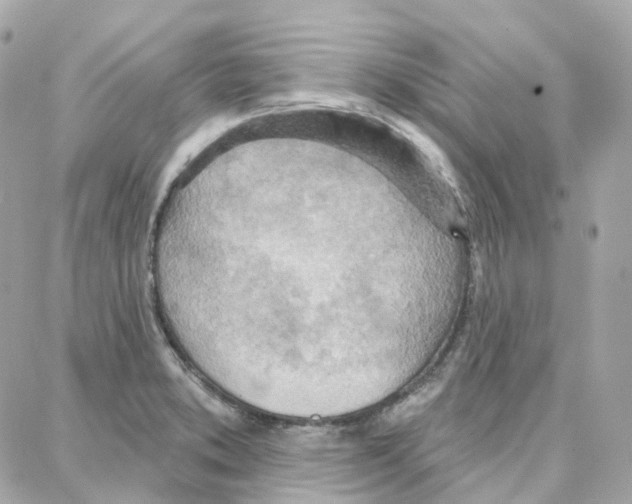 X0000087741373200706041026