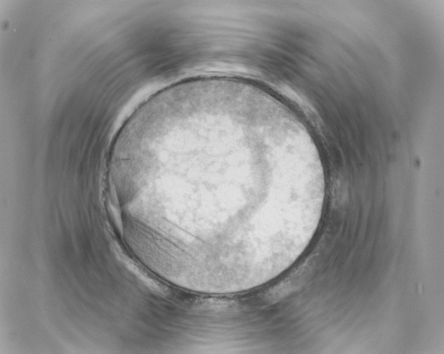 X0000087741374200706041026