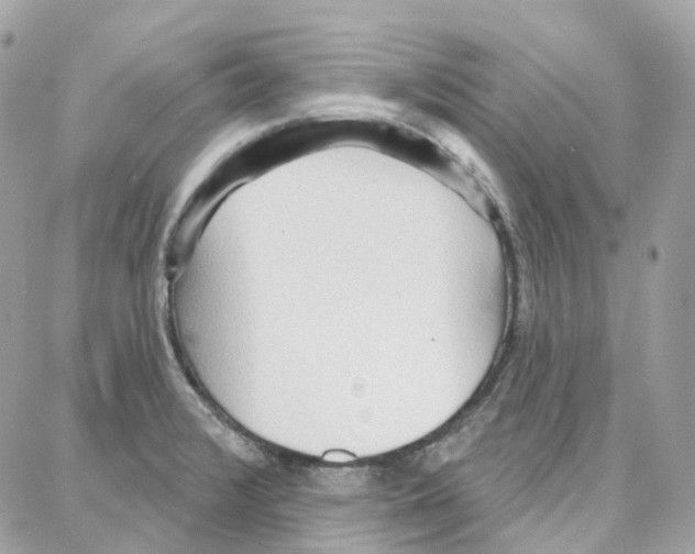 X0000087741376200706041026