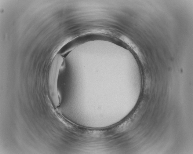 X0000087741377200706041026