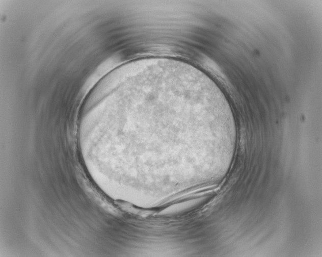 X0000087741378200706041026