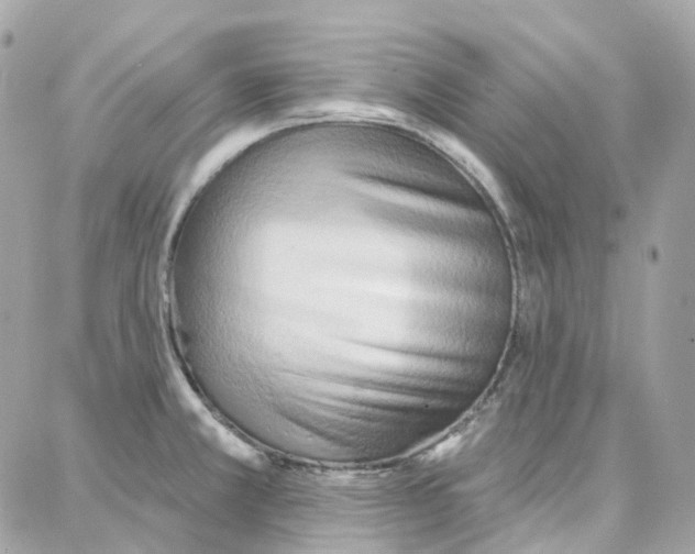 X0000087741381200706041026