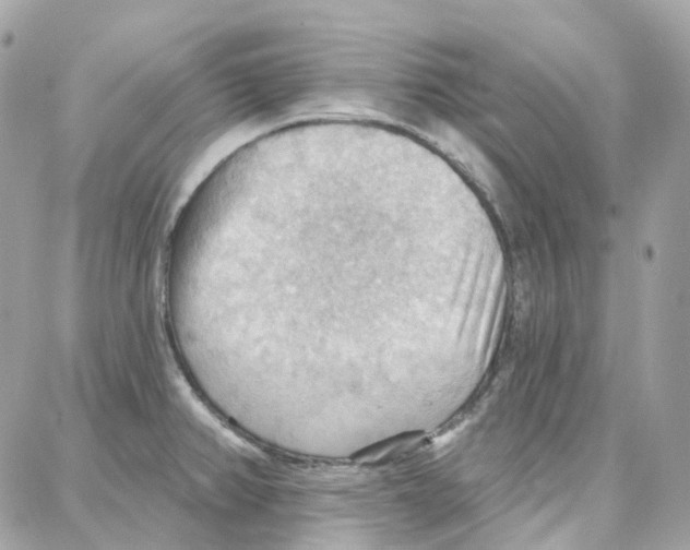 X0000087741382200706041026