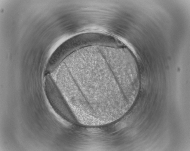 X0000087741383200706041026