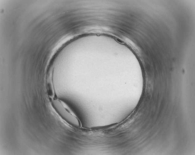 X0000087741384200706041026