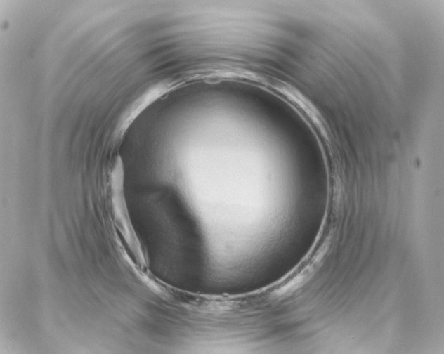 X0000087741385200706041026