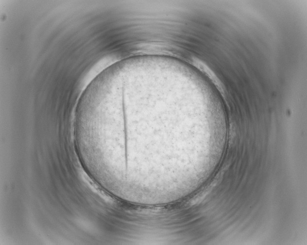 X0000087741386200706041026