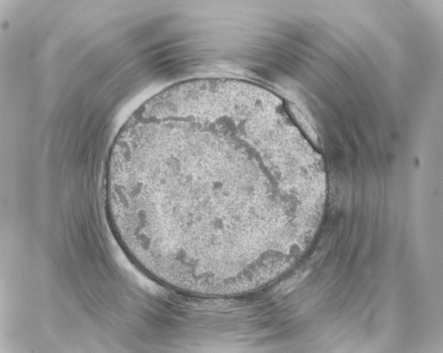 X0000087741387200706041026