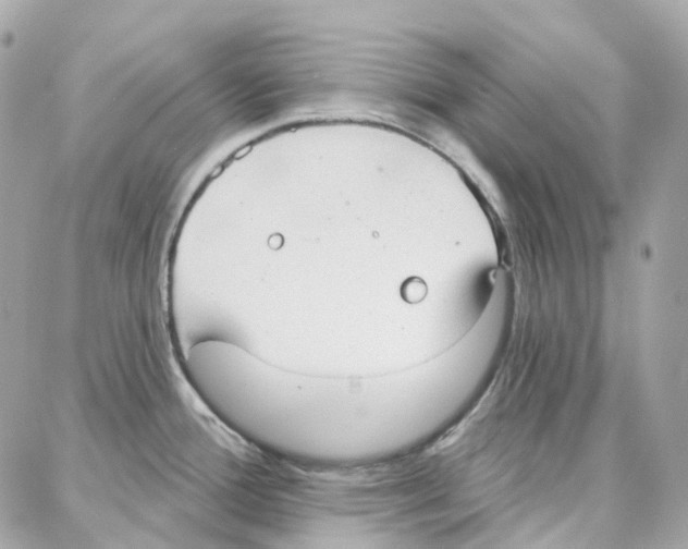 X0000087741388200706041026