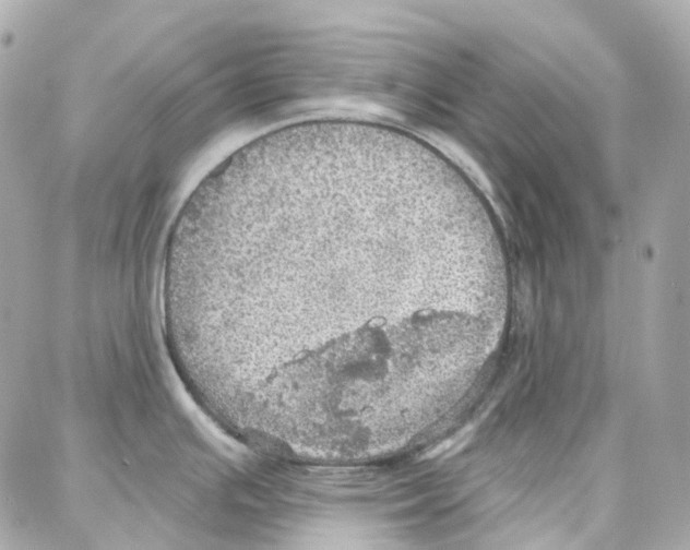 X0000087741391200706041026