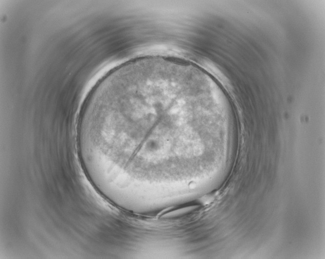 X0000087741392200706041026