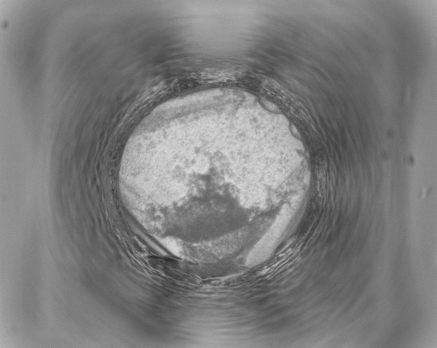 X0000087741393200706041025