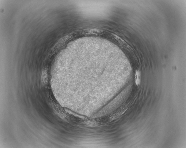 X0000087741395200706041025