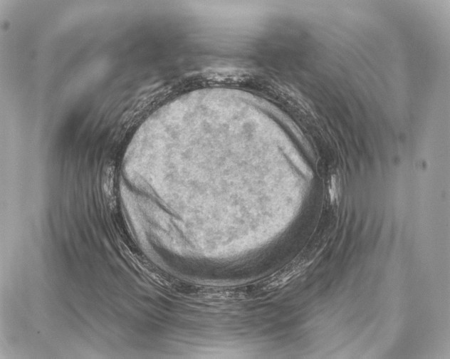 X0000087741396200706041025