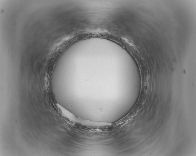 X0000087741398200706041025