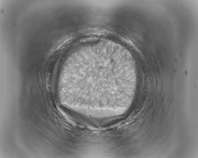 X0000087741399200706041025