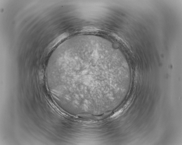 X0000087741401200706041025