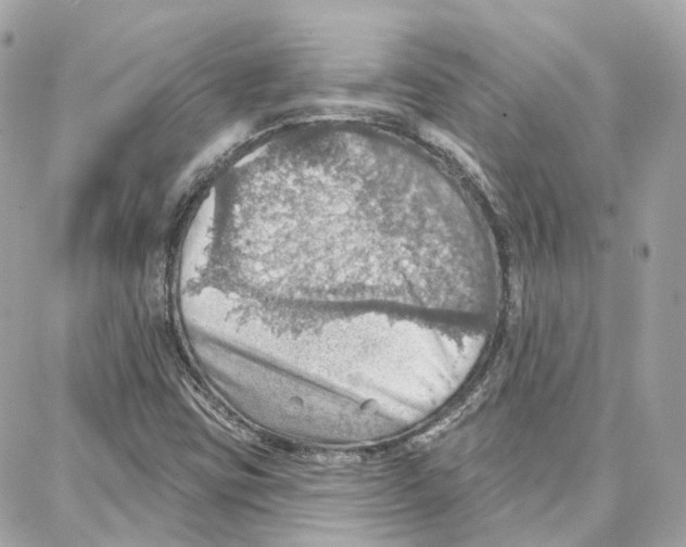 X0000087741403200706041025