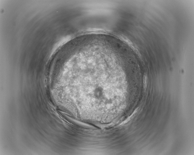 X0000087741405200706041025