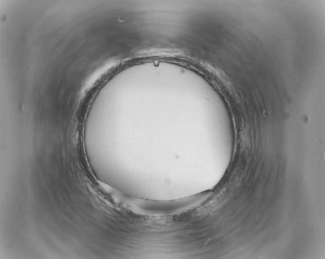 X0000087741406200706041025