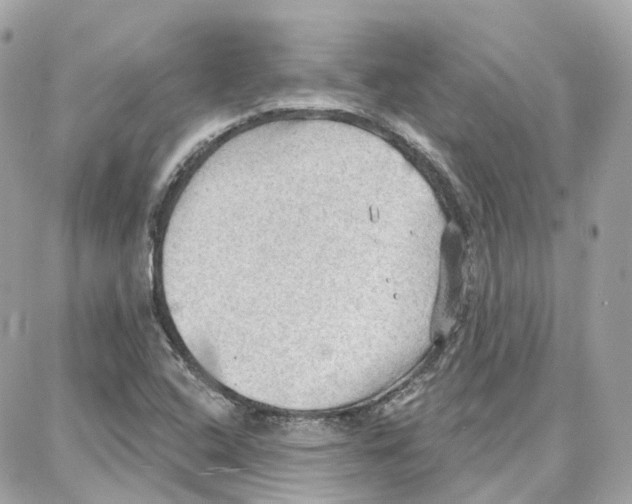 X0000087741408200706041025