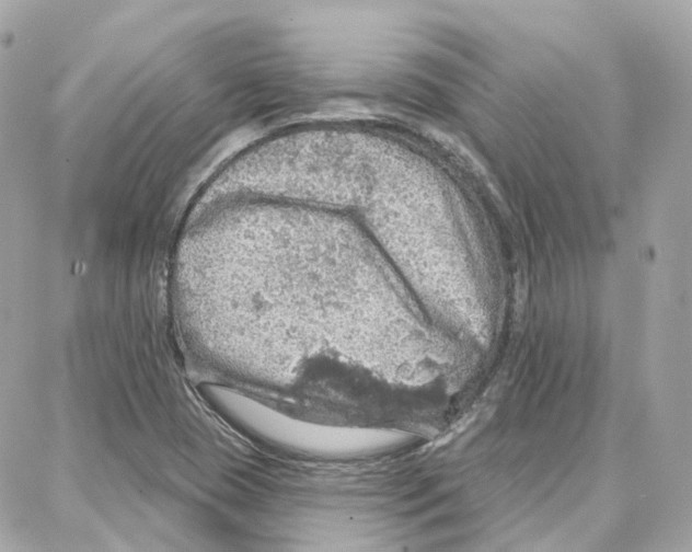 X0000087741409200706041025