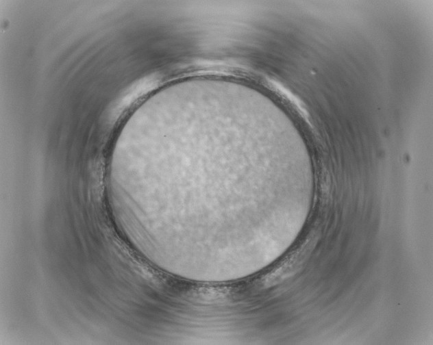 X0000087741411200706041025