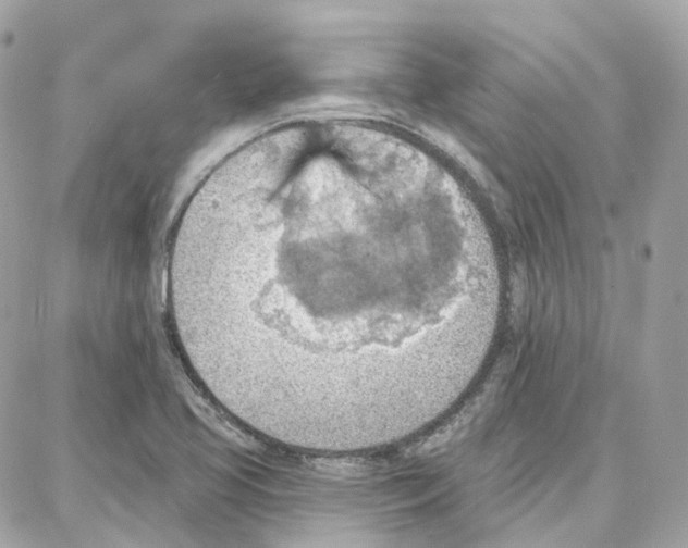 X0000087741413200706041025