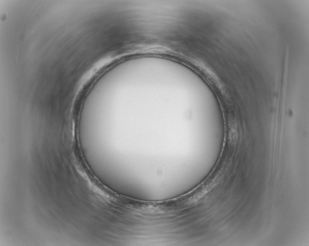 X0000087741414200706041025