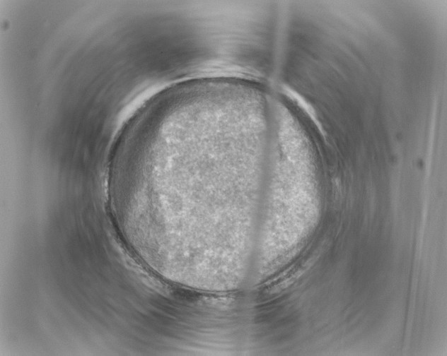 X0000087741415200706041025