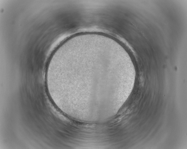 X0000087741416200706041025