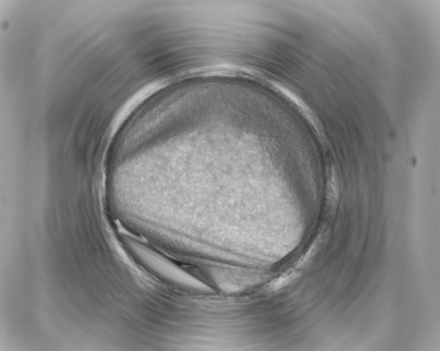 X0000087741418200706041025