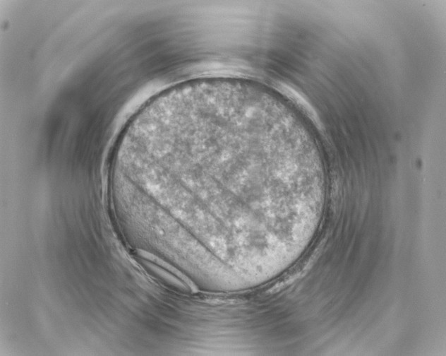 X0000087741419200706041025