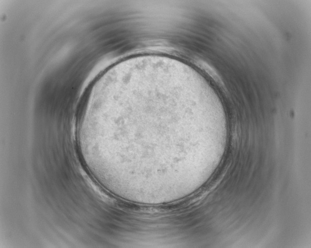 X0000087741420200706041025