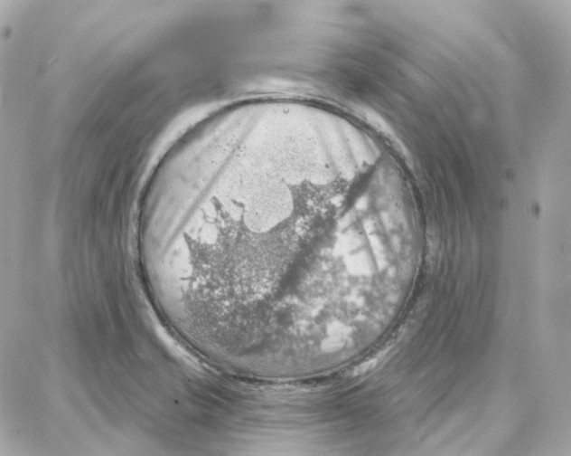 X0000087741421200706041025