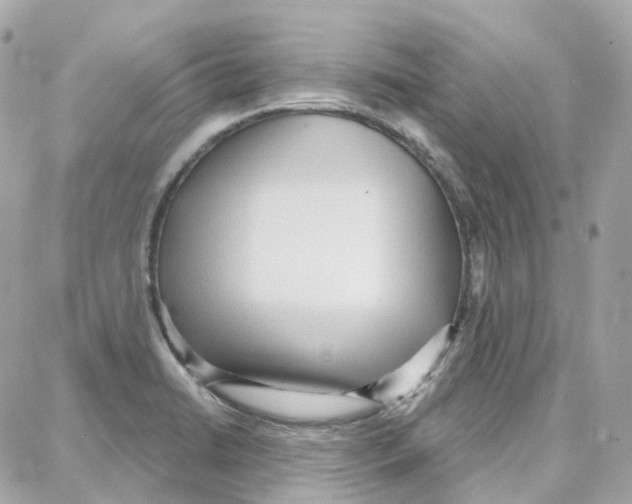 X0000087741422200706041025