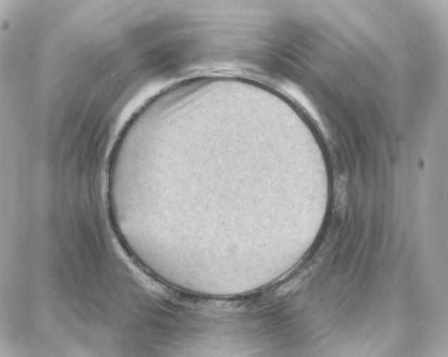 X0000087741424200706041025