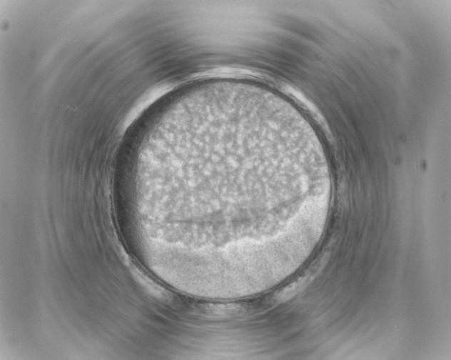 X0000087741425200706041025