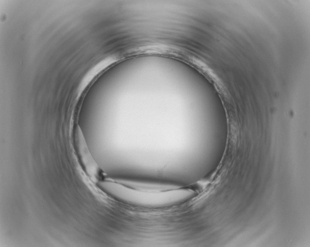 X0000087741426200706041025