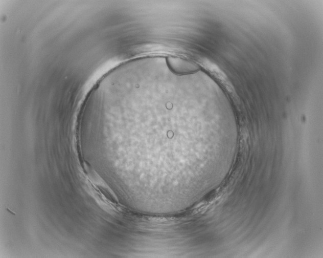 X0000087741427200706041025