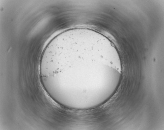 X0000087741428200706041025