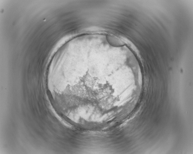 X0000087741429200706041025