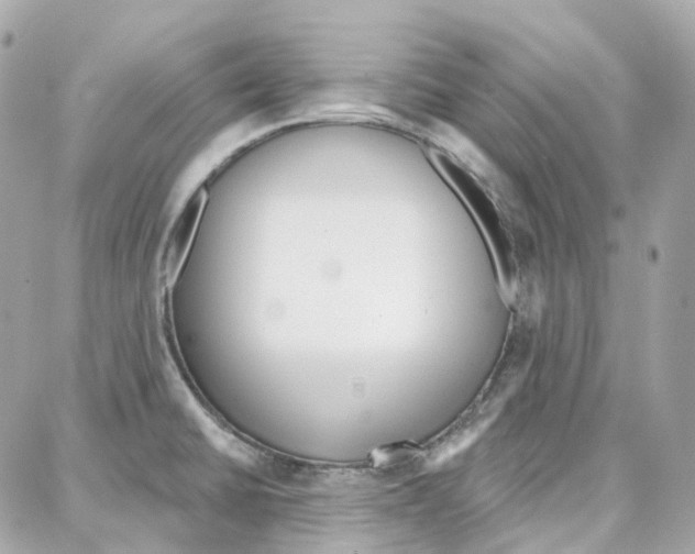 X0000087741430200706041025