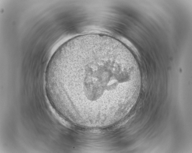 X0000087741431200706041025